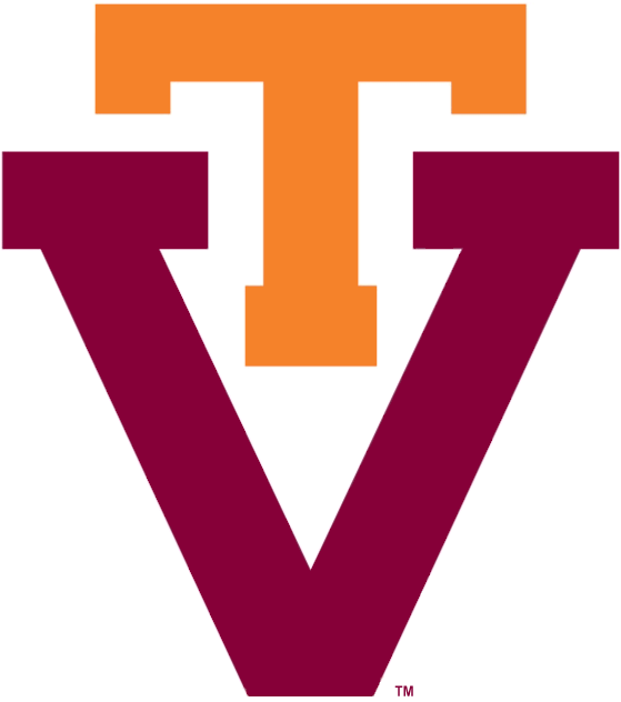 Virginia Tech Hokies 1974-1982 Primary Logo DIY iron on transfer (heat transfer)